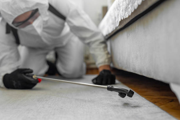 Professional Pest Control technician working in Kent County County, MD